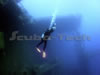 divers on zenobia wreck cyprus